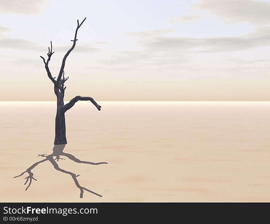 Tree On Desert