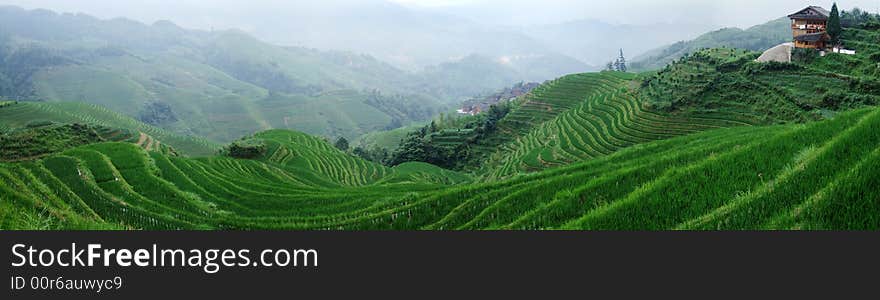 Terraced field and village