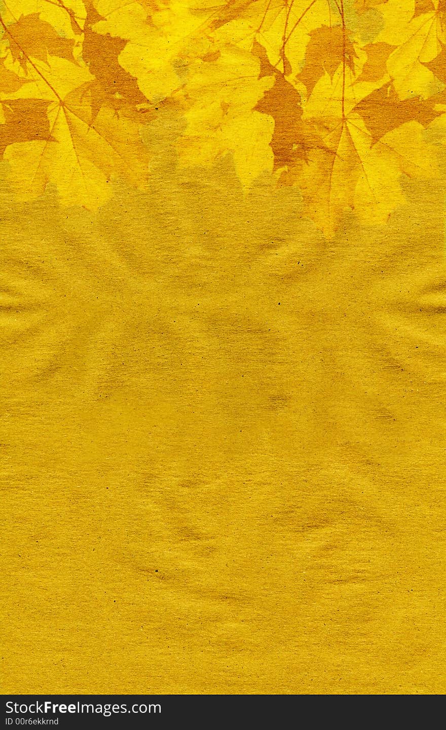 Paper texture background with yellow maple leaves. Paper texture background with yellow maple leaves