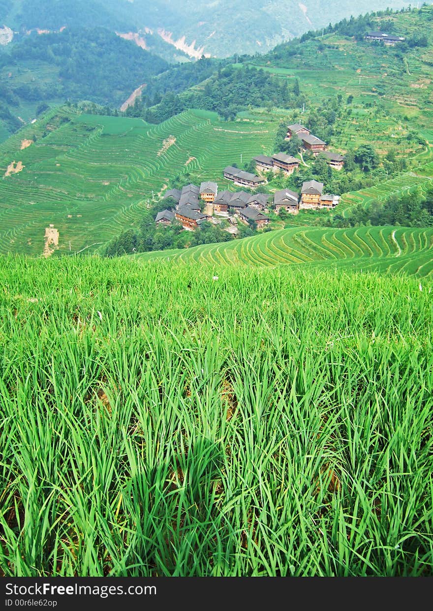 Terraced field and village