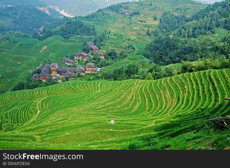 Terraced field and village