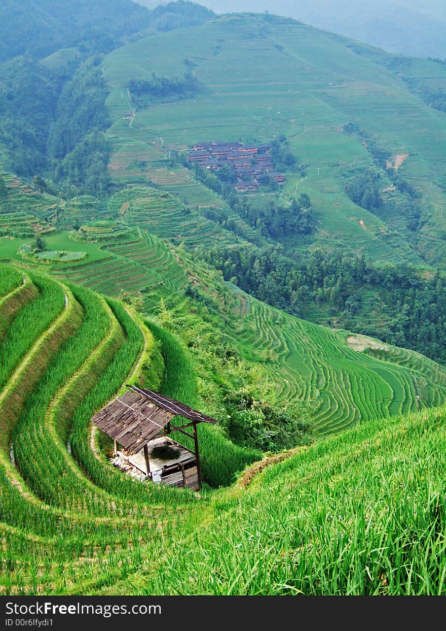 Terraced field and village