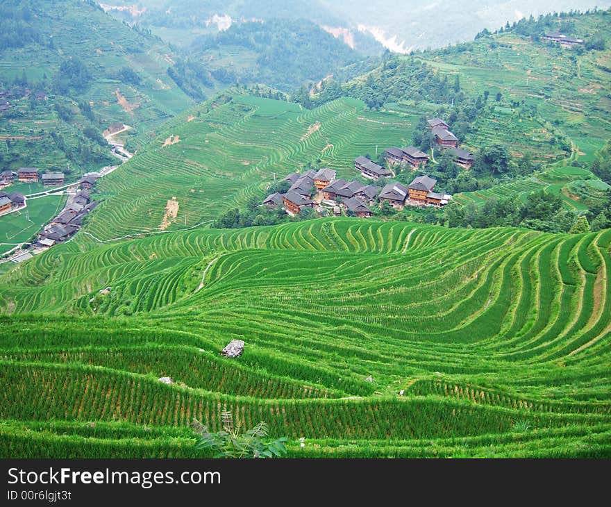 Terraced field and village