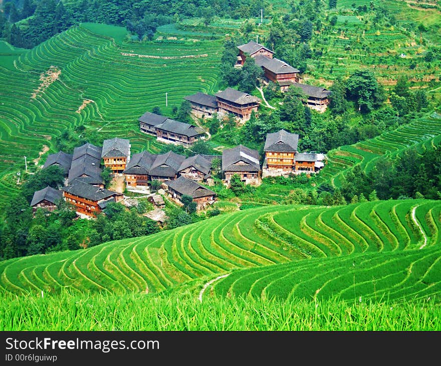 Terraced field and village