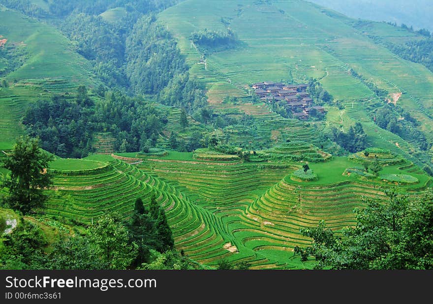 Terraced field and village