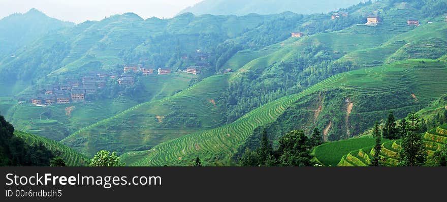 Terraced field and village