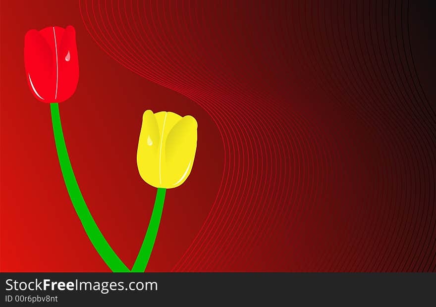 Red and yellow tulips, vector illustration