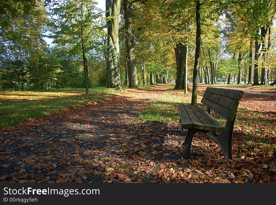 Autumn allay in the parke