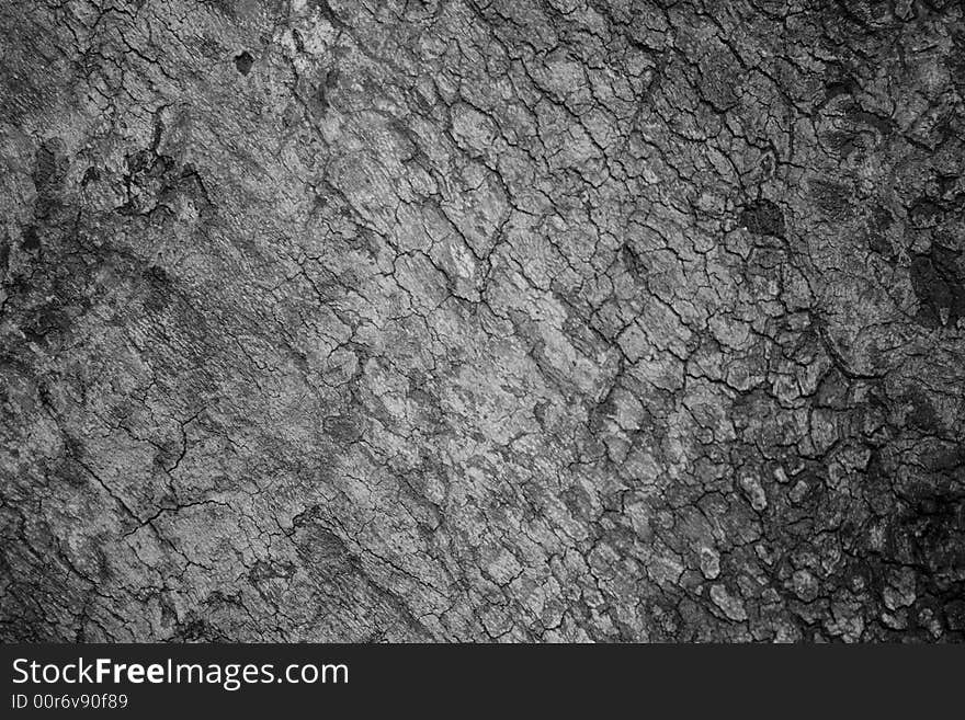 Closeup to huge old tree trunk, black and white surface for backrounds