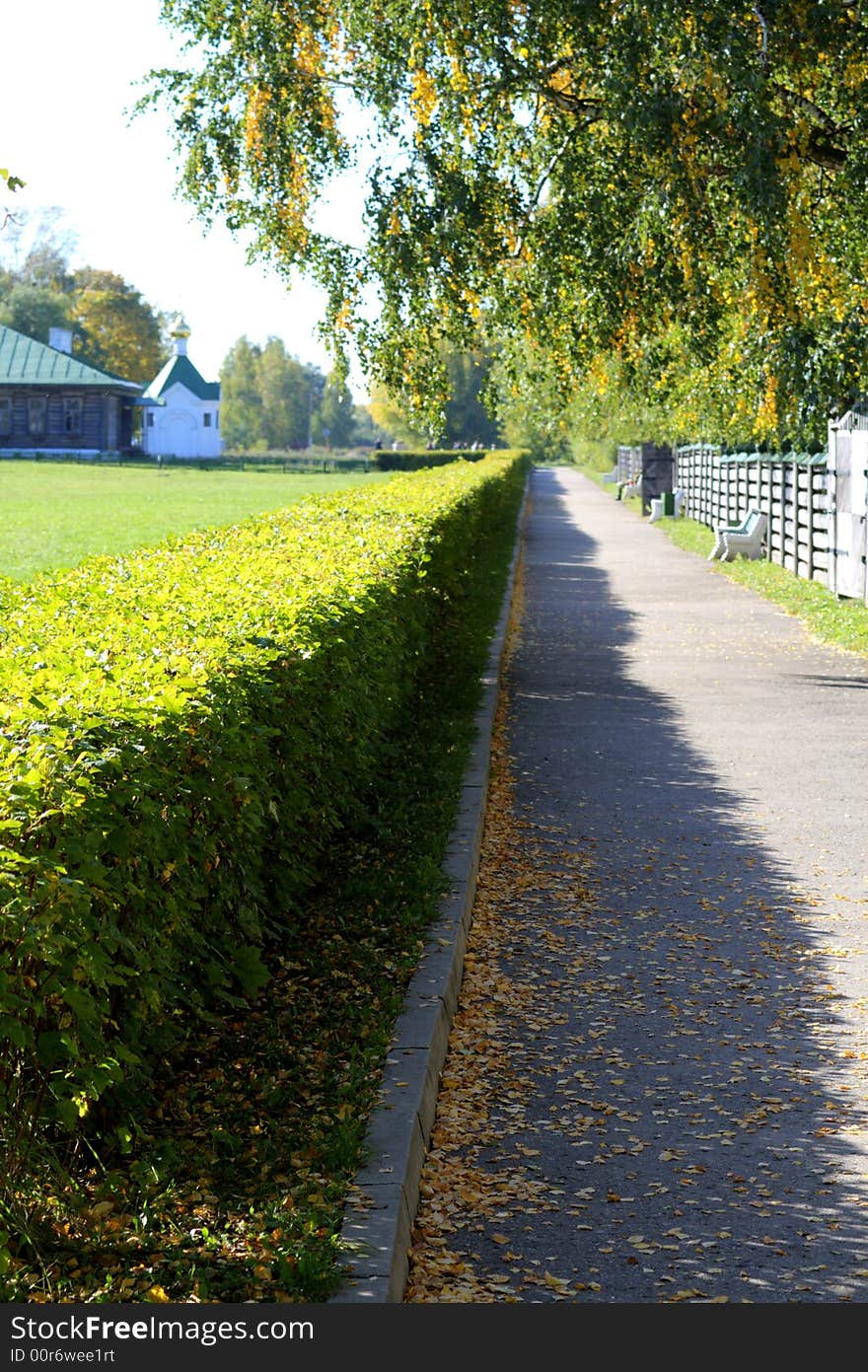 Summer. Road to greens. Village Konstantinovo.