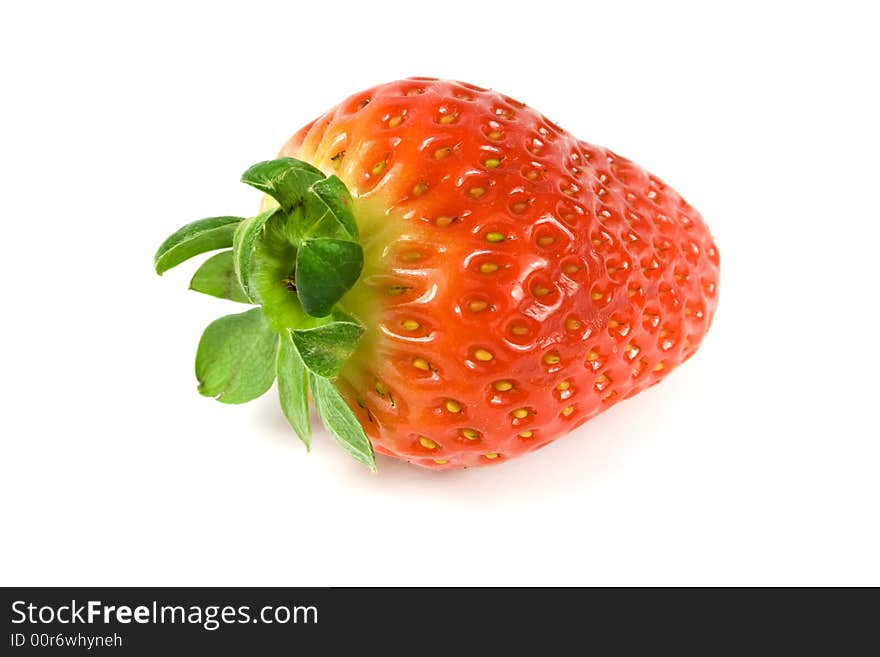 One Strawberry Closeup