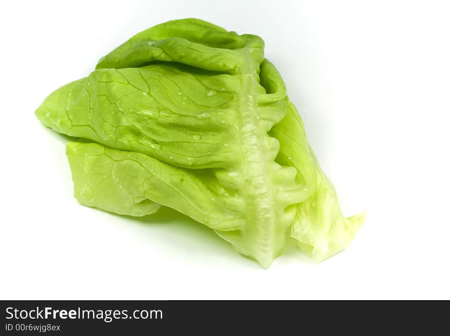 Isolated detail of leaf lettuce