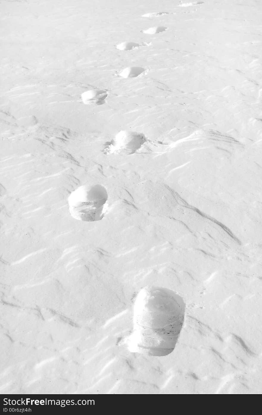 Footprints in Snow