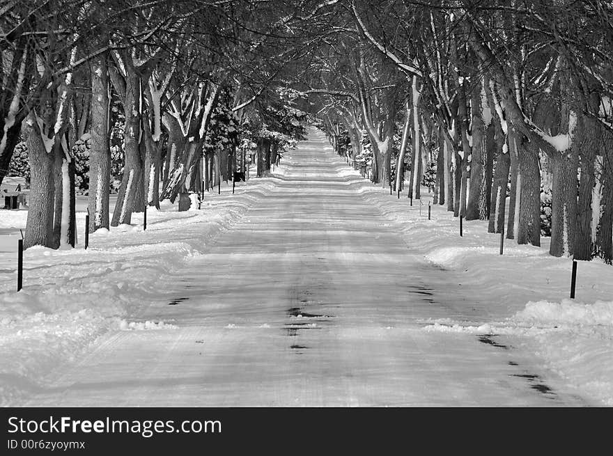 Snowy winter road lined with trees and snow drifts