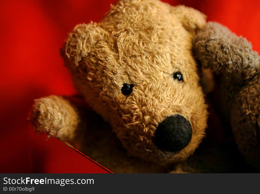 Yearning Teddy Bear on the red background. Yearning Teddy Bear on the red background