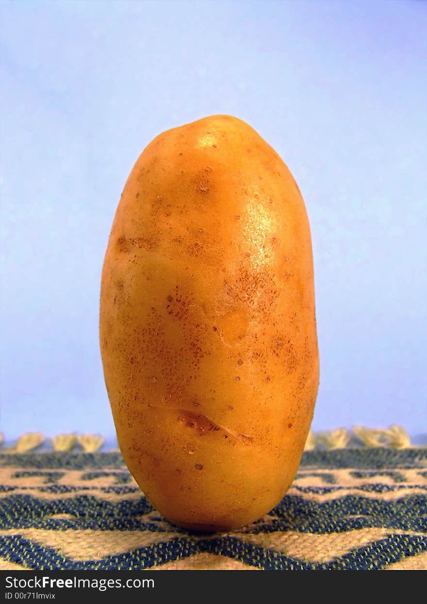 Standing Potato /B