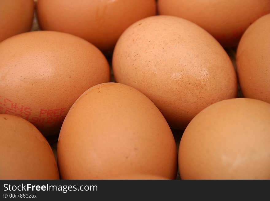 Close up photo of a clutch of eggs