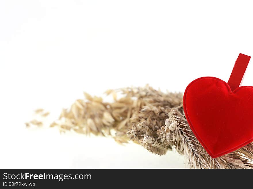 Image from holiday series: heart and crop on white



handicraft, house: color doily on white background