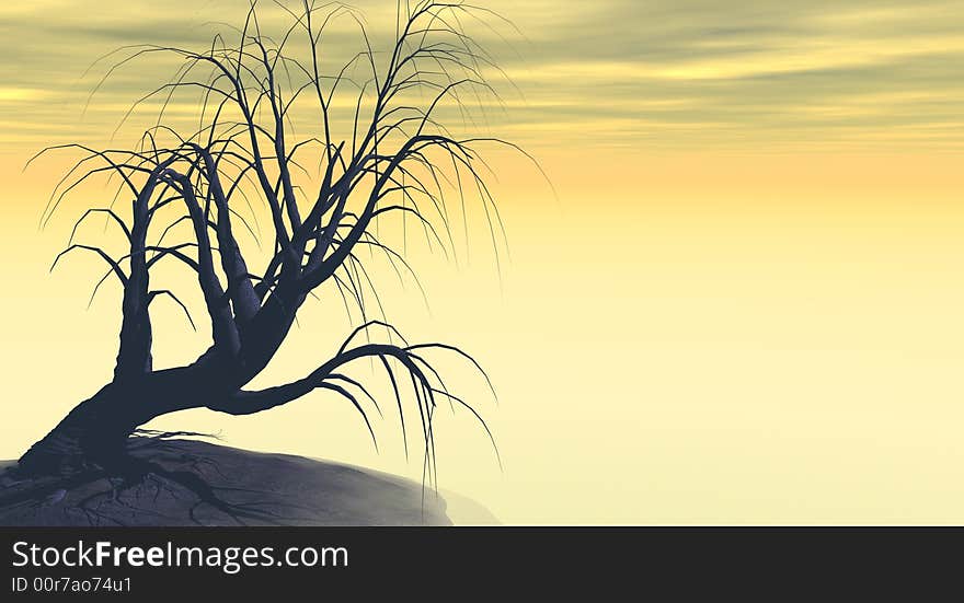 Creepy tree in fog and haze