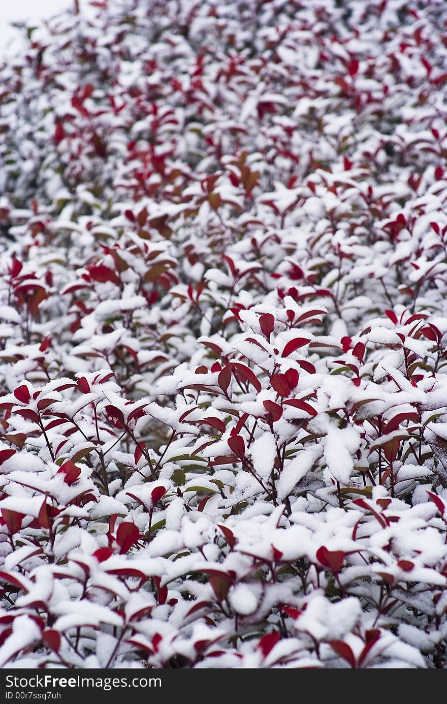 Heavy snow south China