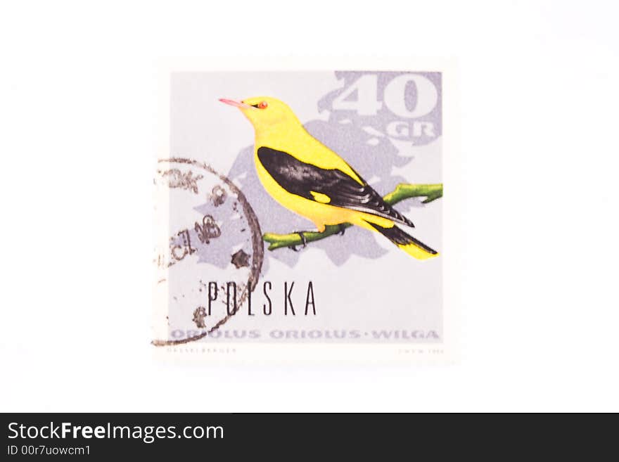 Old Polish stamp with bird