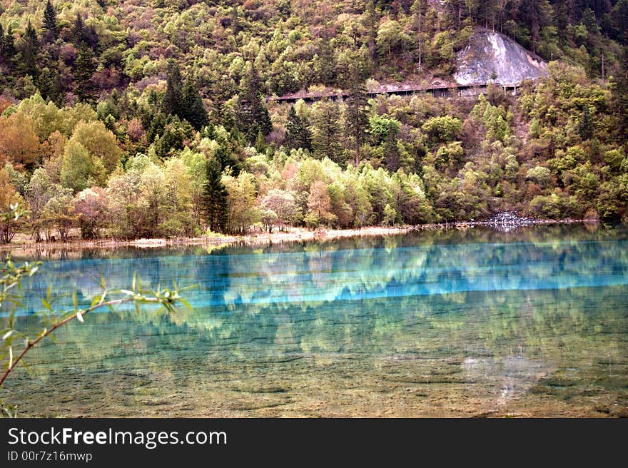 Inverted image of trees in blue water of lake,JiuZhai, SiChuan, China. Inverted image of trees in blue water of lake,JiuZhai, SiChuan, China