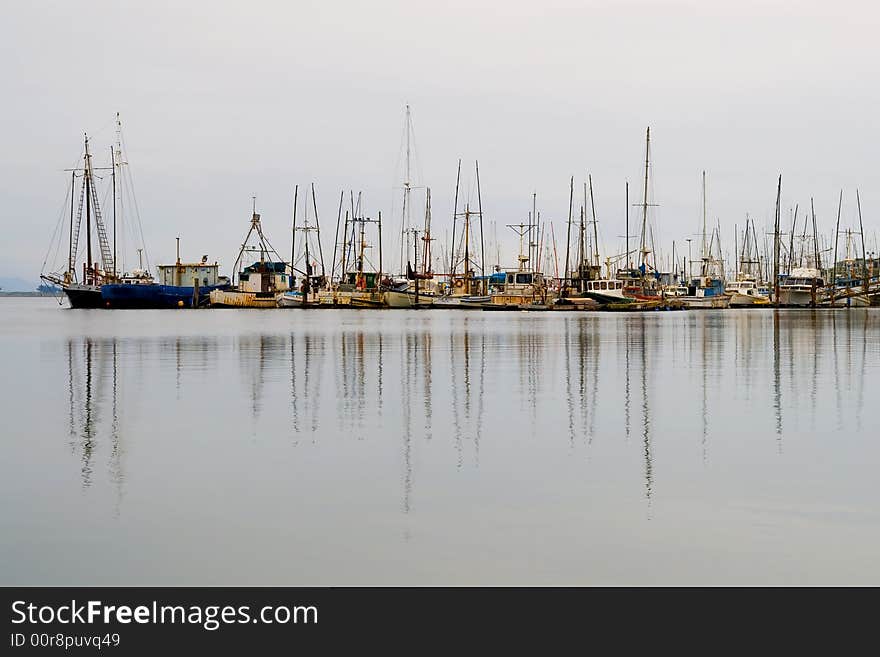 Old fishing boats lined-up in the harbor, Bodega Bay California