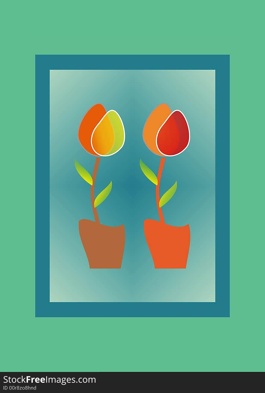 Tulips in pots with unique transparent shadows.