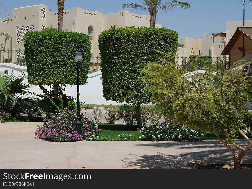 Green trees in a park as cylinders