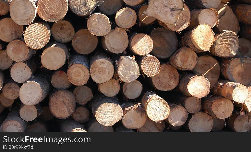 Wood pile