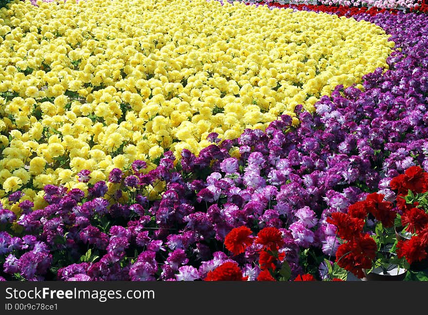 Flower nursery in February