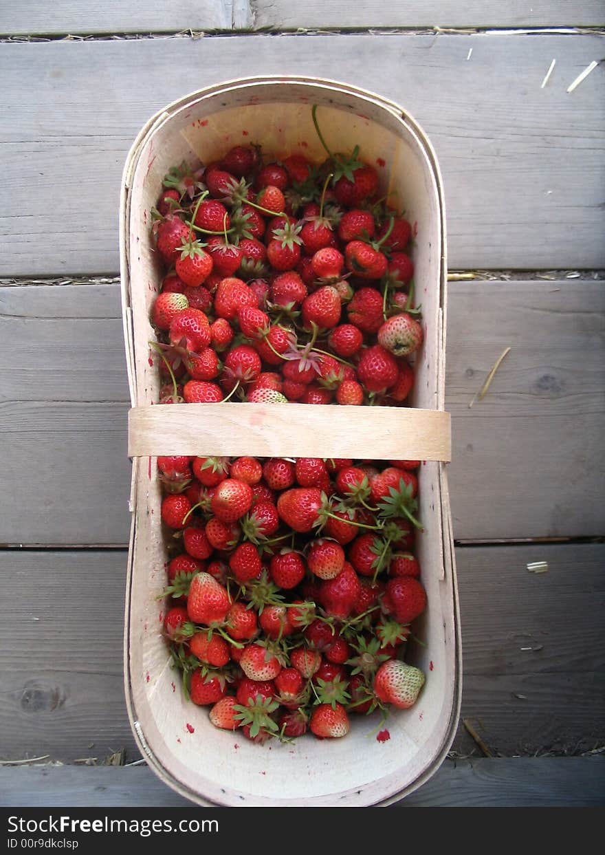 Freshly picked strawberries