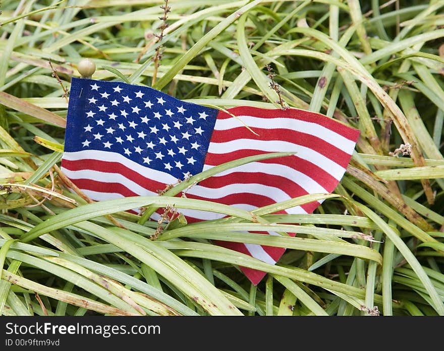 A small U.S. flag partially hidden in foliage. A small U.S. flag partially hidden in foliage