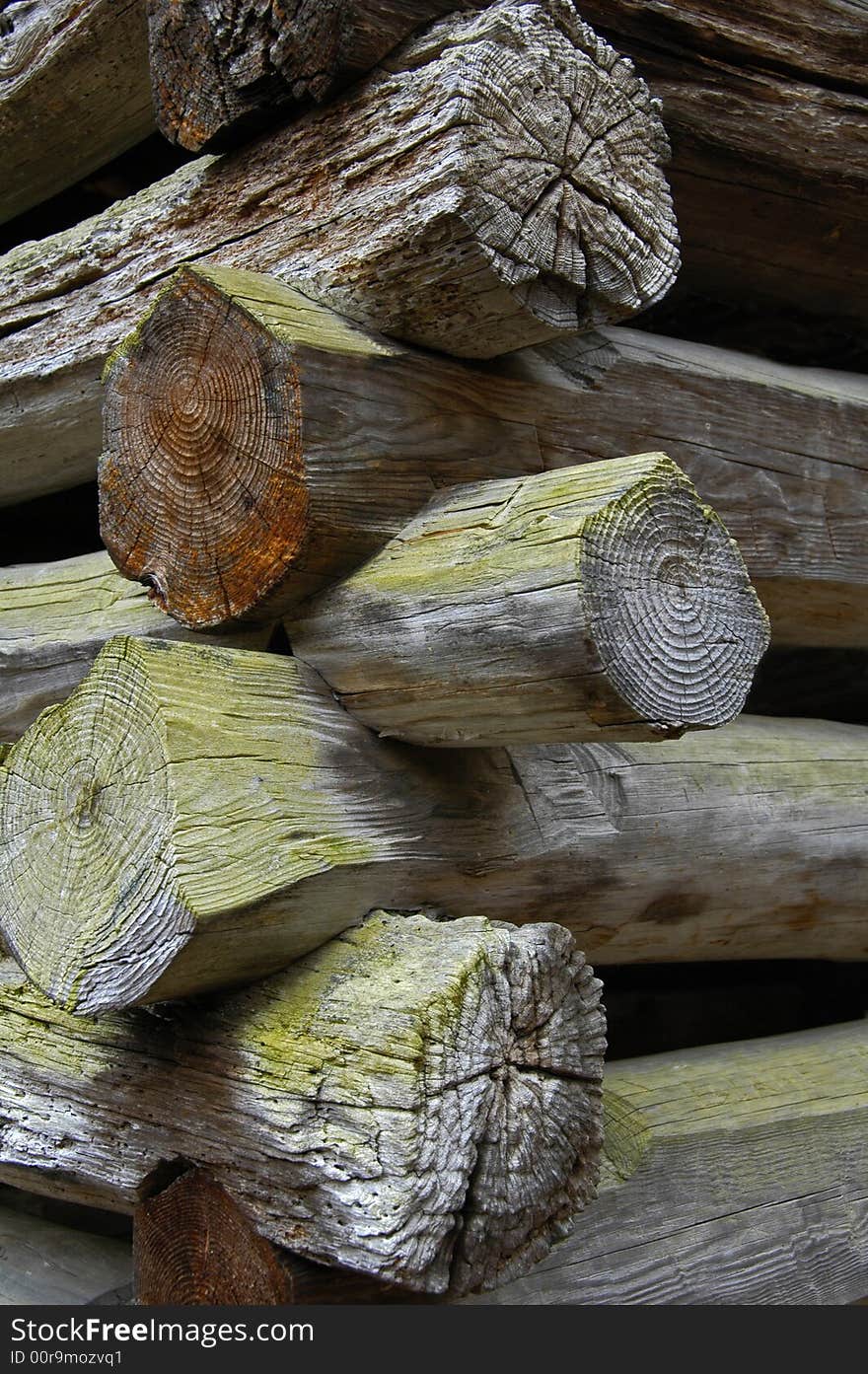 Construction Details of Historic Log Cabin in Cades Cove, TN. Construction Details of Historic Log Cabin in Cades Cove, TN