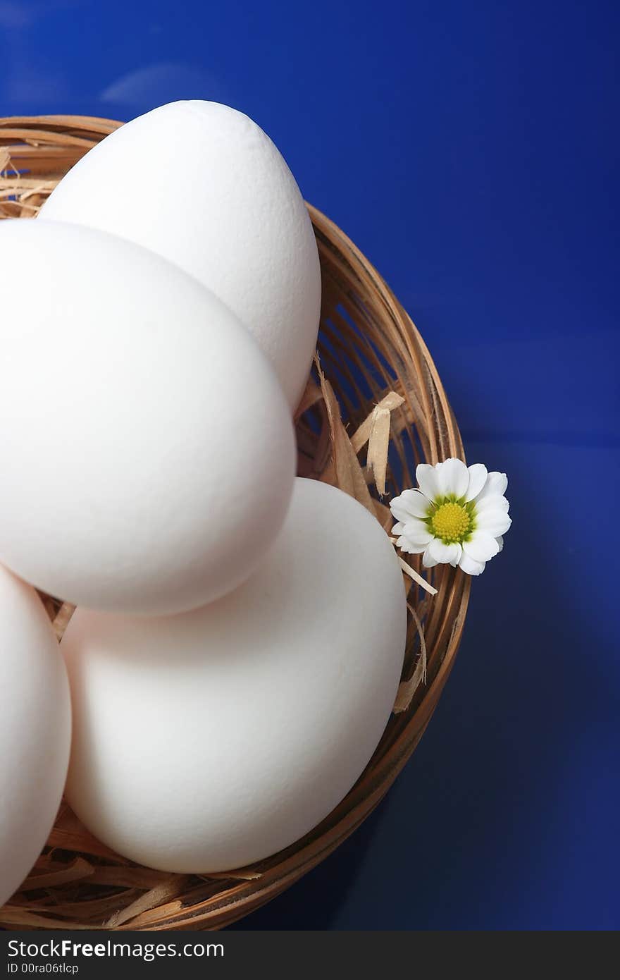 White eggs with flover on blue background. White eggs with flover on blue background.