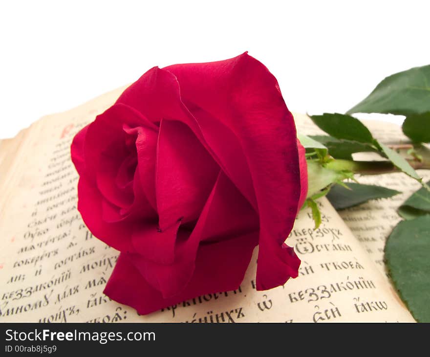 Red rose on an old book. Red rose on an old book