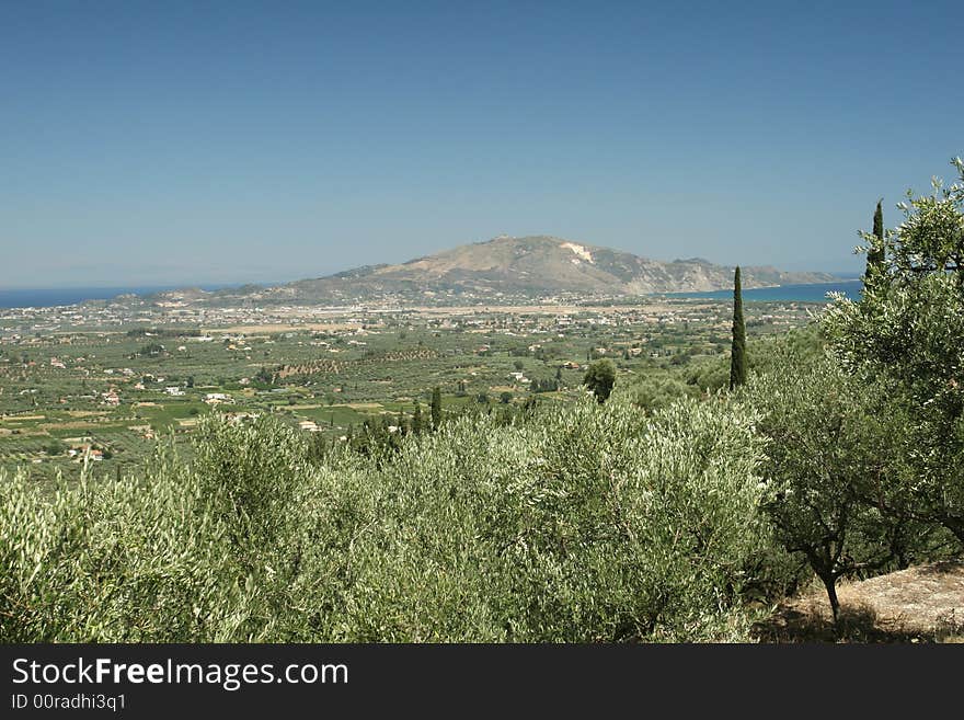 Olive trees and view of Zakynthos-city, Greece. Olive trees and view of Zakynthos-city, Greece