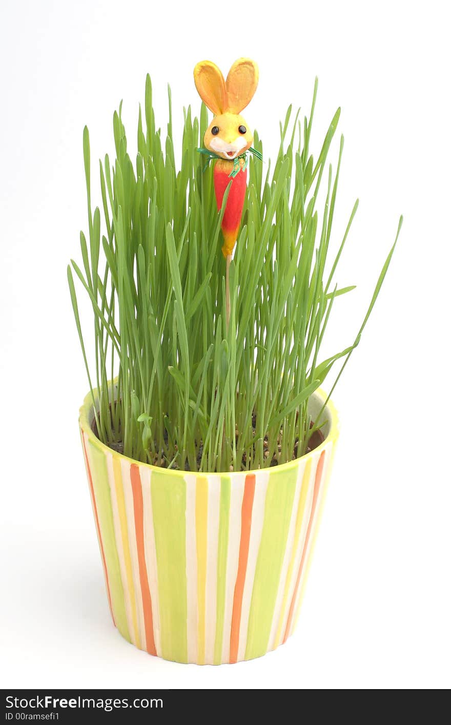 Easter  rabbit in a grass in a pot. Easter  rabbit in a grass in a pot