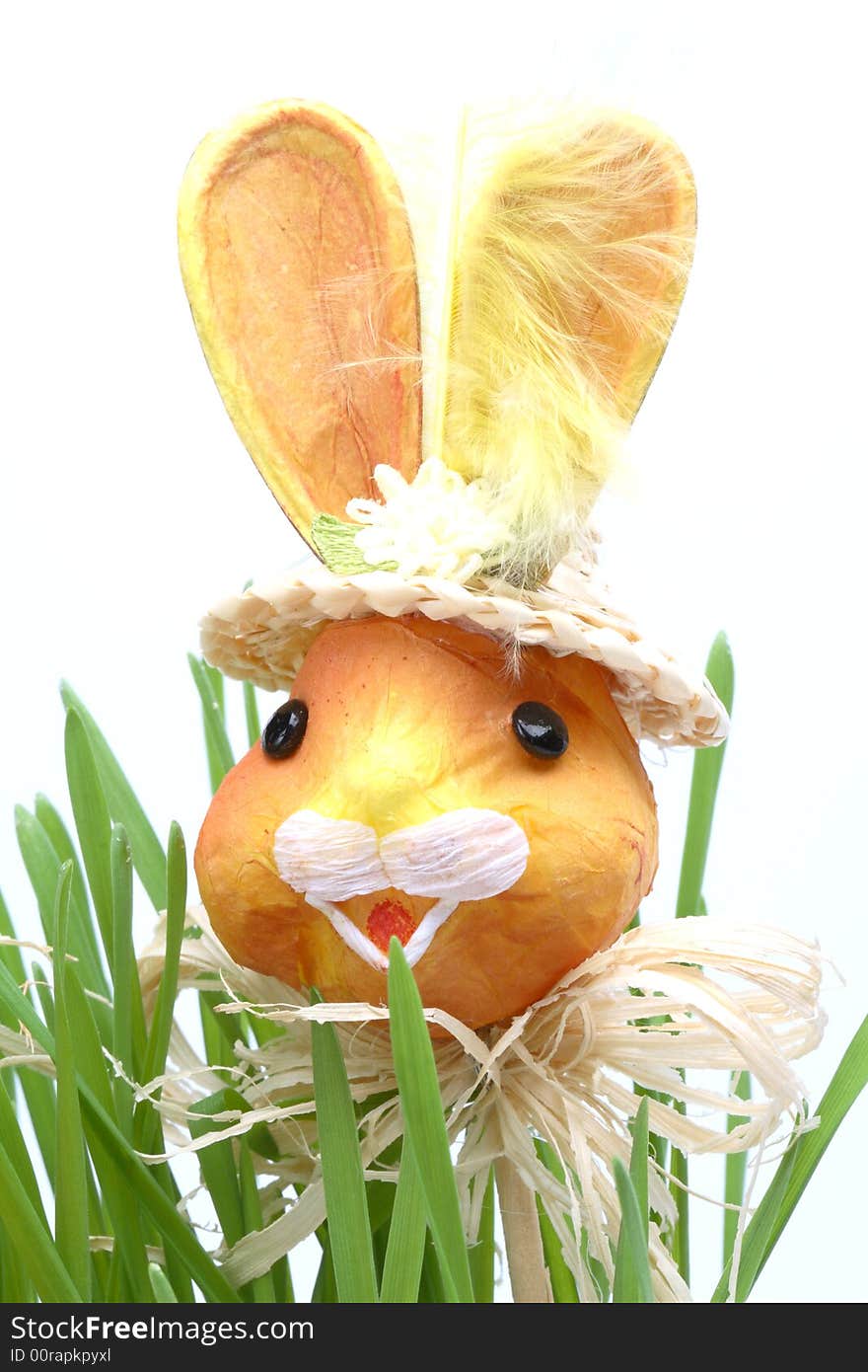 Close up of Easter rabbit in a grass