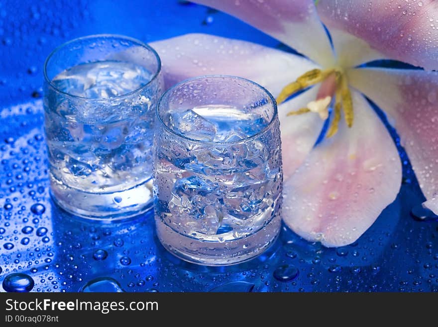 Glasses with water and flower