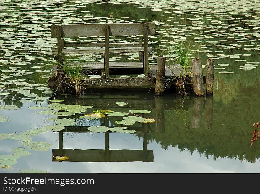 Wooden bench mirrored in  a water lilies pond. Wooden bench mirrored in  a water lilies pond