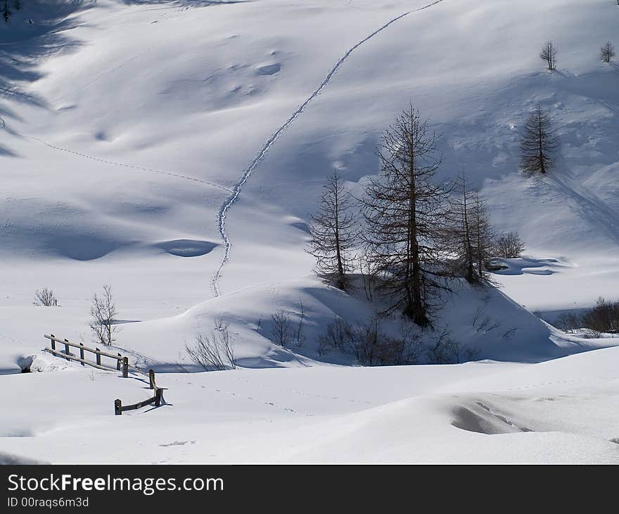 Winter landscape with snow and plants
(Switzerland). Winter landscape with snow and plants
(Switzerland)