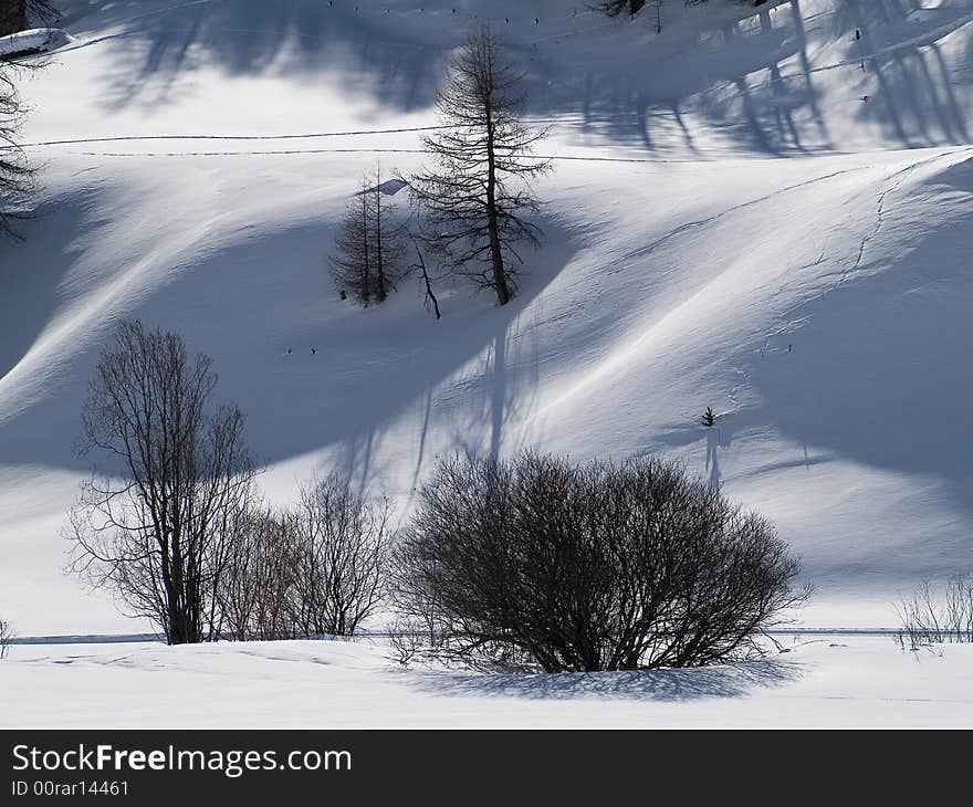 Winter landscape with snow and plants