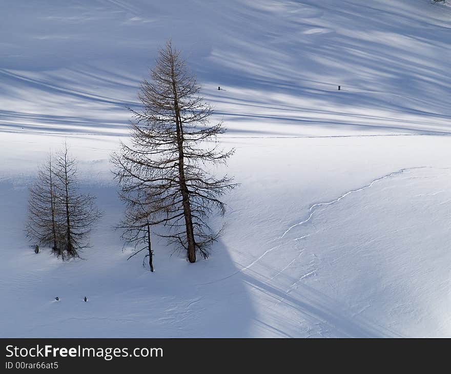 Winter landscape with snow and plants. Winter landscape with snow and plants