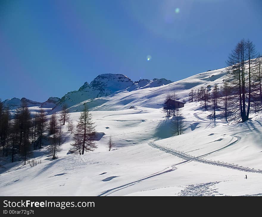 Winter landscape with snow and plants. Winter landscape with snow and plants