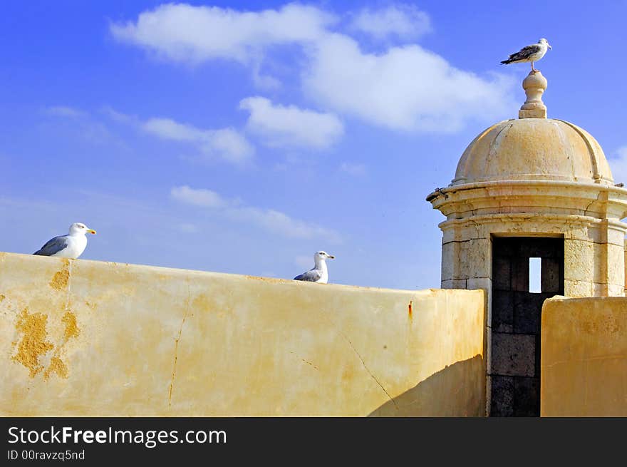 Portugal, area of Algarve, Lagos: typical military architecture, Fortress; white crow's nest with seagull on the domes top. Portugal, area of Algarve, Lagos: typical military architecture, Fortress; white crow's nest with seagull on the domes top