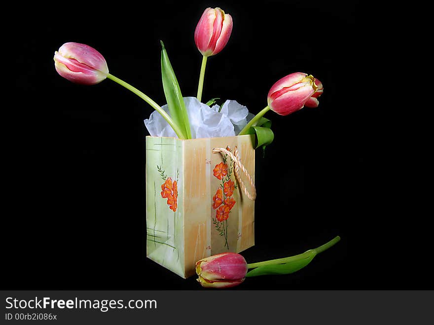 Spring tulips in a gift bag. Spring tulips in a gift bag.