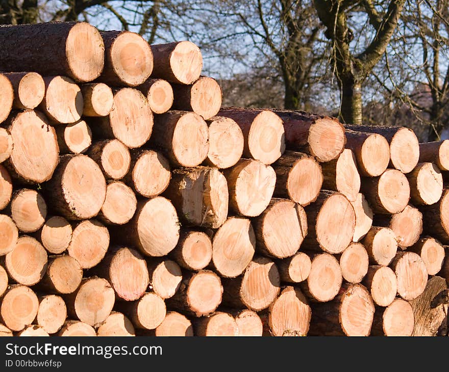 Stacked wirefood logs, pile balks, firewood