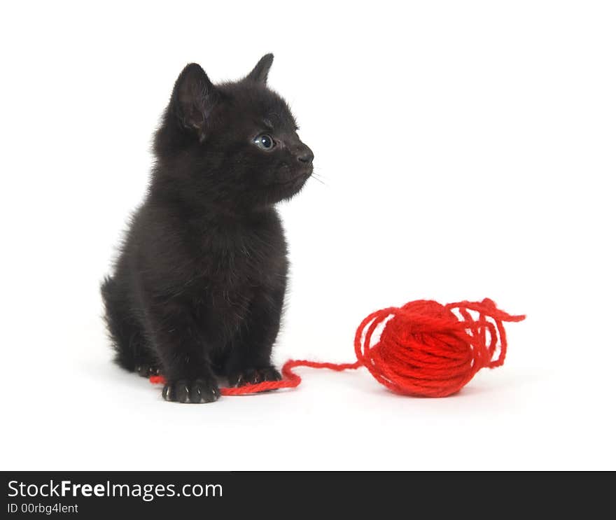 A black kitten plays with a ball of red yarn on a white background. A black kitten plays with a ball of red yarn on a white background