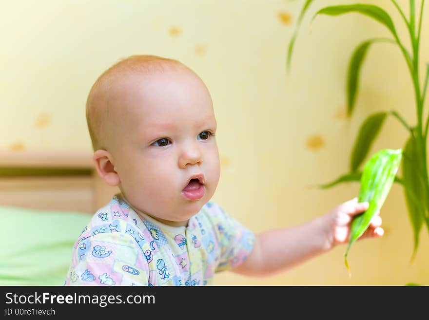 Baby keep leaf of home plant